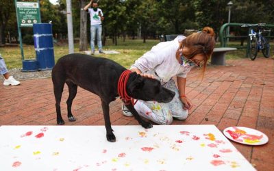 LOS ANIMALES DE CHAPINERO FIRMARON CON SU HUELLA EL ACUERDO DE PROTECCIÓN Y BIENESTAR (COLOMBIA)