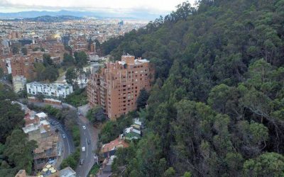 POR DECISIÓN DEL CONCEJO, ¿EN BOGOTÁ HABRÁ DÍA SIN CARNE? (COLOMBIA)