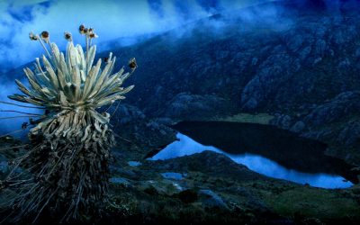 SANTURBÁN SERÁ DESTINO ECO Y AGRO TURÍSTICO (COLOMBIA)