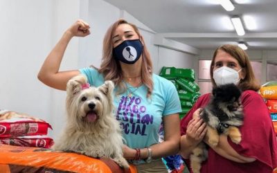 VALLECAUCANOS DEMOSTRARON SU SOLIDARIDAD CON LOS ANIMALES SIN TECHO EN LA JORNADA CENTRAL DE LA CAMPAÑA ‘SALVANDO HUELLAS’ (COLOMBIA)
