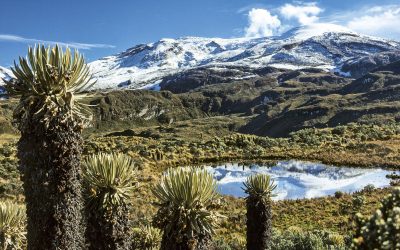 LAS RIQUEZAS NATURALES DE COLOMBIA, SE ENCUENTRAN EN PELIGRO