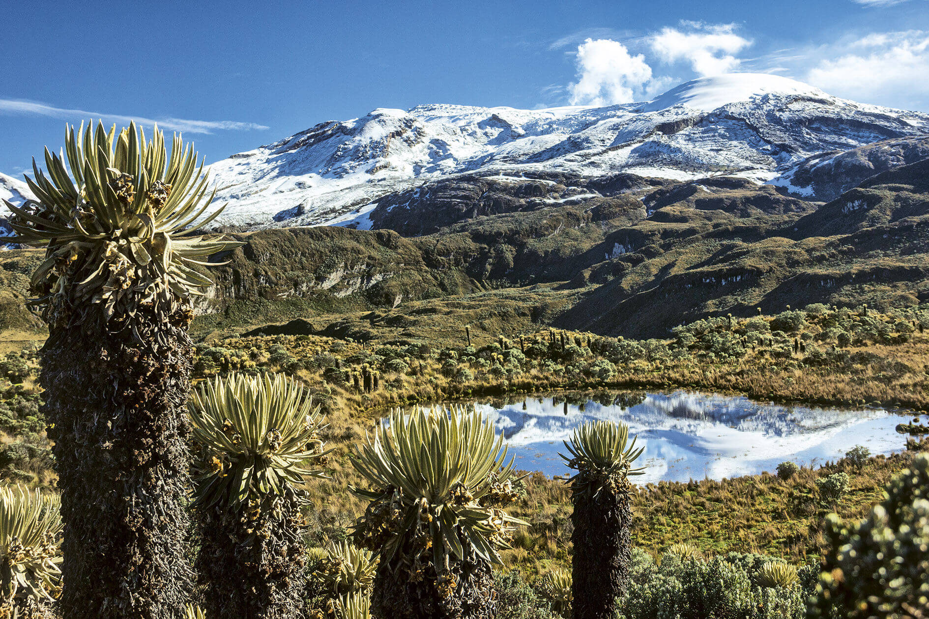 LAS RIQUEZAS NATURALES DE COLOMBIA, SE ENCUENTRAN EN PELIGRO