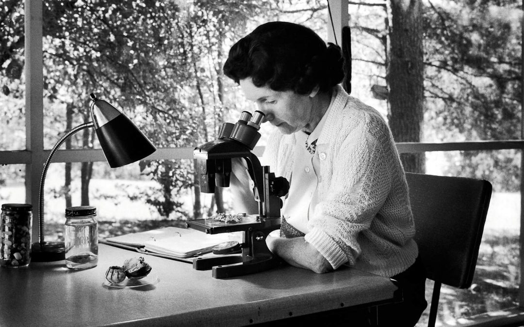 RACHEL CARSON, LA MUJER QUE INAUGURÓ EL ECOLOGISMO CONTEMPORÁNEO