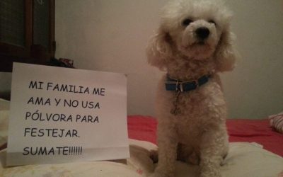 ¡DEFINITIVO! TODOS LOS MUNICIPIOS DE CUNDINAMARCA PROHIBIRÁN EL USO DE LA PÓLVORA (COLOMBIA)