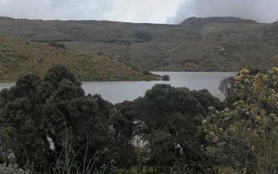 PROPONEN LLEVAR LA PROHIBICIÓN DE MINERÍA EN LOS PÁRAMOS A LA CONSTITUCIÓN (COLOMBIA)
