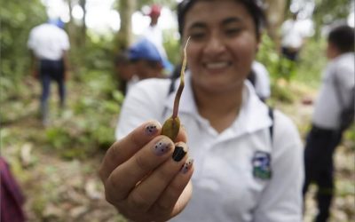 PROMESAS QUE SE VUELVEN ACCIONES ¿CUÁL ES TU PROMESA CLIMÁTICA?