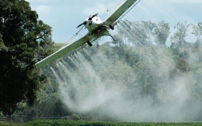 LA FUMIGACION CON GLIFOSATO NO CONSTITUYE ESCENARIOS SOCIALES SOSTENIBLES