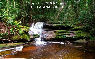EL SENDERO DE LA ANACONDA