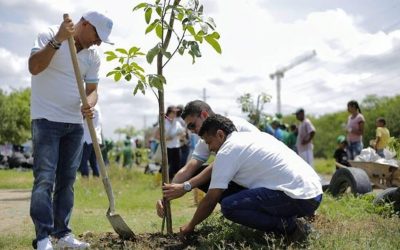 DEL DICHO AL HECHO – SIEMBRA DE 180 MILLONES DE ARBOLES