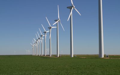 BIDEN, DUQUE Y CAMBIO CLIMÁTICO