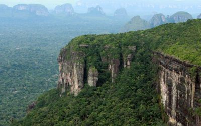 SERRANIA DE CHIRIBIQUETE                                                     ¡LA CAPILLA SIXTINA DEL AMAZONAS!!