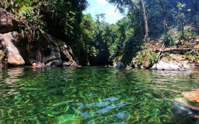 ¡AGUA DULCE –  VITAL PARA LA VIDA!