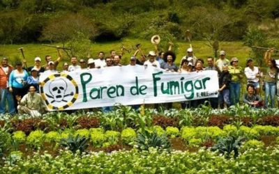 LA ONU Y EL GLIFOSATO EN COLOMBIA