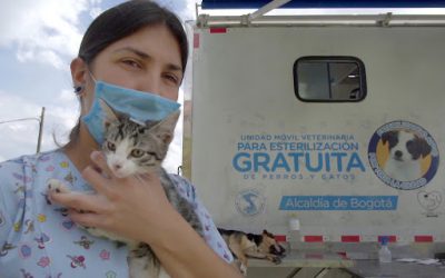 VUELVEN LAS JORNADAS GRATUITAS DE ESTERILIZACION EN BOGOTÁ (COLOMBIA)