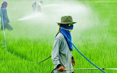 FUMIGACIONES CON GLIFOSATO Y TUTELAS