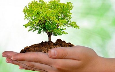MEDIO AMBIENTE: LA VIDA DE TODOS