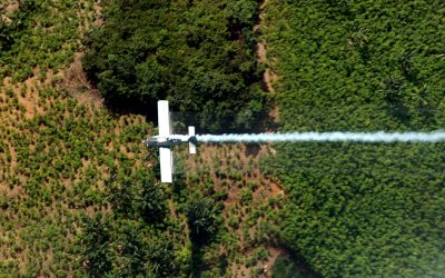 EL GLIFOSATO, EL AGUA Y LOS BOSQUES