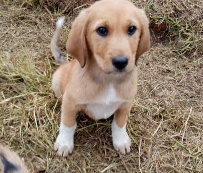 Zeus