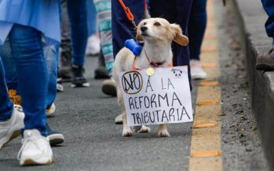 LOS ANIMALES Y EL PARO