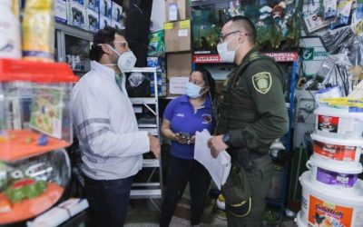 SANCIONAN A COMERCIANTES POR VENDER ANIMALES VIVOS EN BOGOTÁ (COLOMBIA)