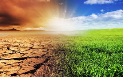 EL MEDIO AMBIENTE Y LA CRISIS CLIMÁTICA