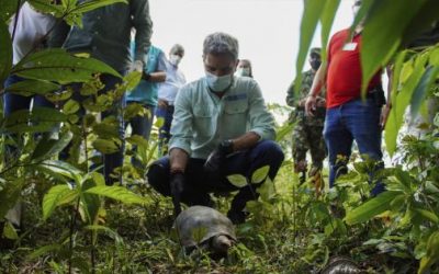 EN 2021 SE HAN LIBERADO 7.000 ANIMALES SILVESTRES EN COLOMBIA