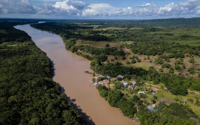 ¡ES LEY! LA DEFORESTACIÓN YA ES DELITO Y SERÁ PENALIZADA HASTA CON 15 AÑOS DE CÁRCEL (COLOMBIA)