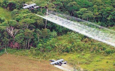 SE HUNDE EN PRIMER DEBATE EL PROYECTO QUE BUSCABA PROHIBIR EL GLIFOSATO (COLOMBIA)