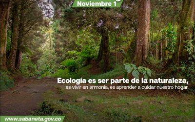 DÍA MUNDIAL DE LA ECOLOGÍA