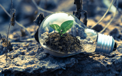 EXPLOTACION DEL MEDIO AMBIENTE Y CONFLICTO