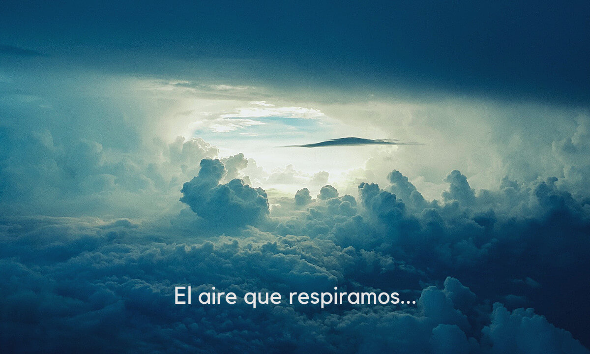 EL AIRE QUE RESPIRAMOS Fundación Amigos del Sociedad Protectora de Animales de Colombia EL AIRE QUE RESPIRAMOS Fundación Amigos del Sociedad Protectora de Animales de Colombia