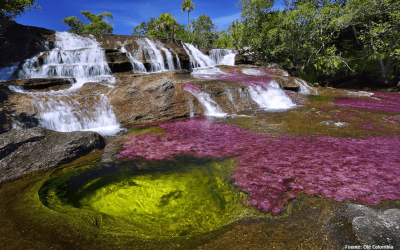 PARQUES NACIONALES NATURALES DE COLOMBIA