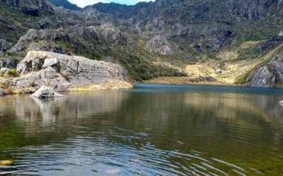 ACUERDO DE ESCAZÚ ESTARÍA EN RIESGO DE HUNDIRSE NUEVAMENTE EN EL CONGRESO, ADVIERTE OPOSICIÓN (COLOMBIA)