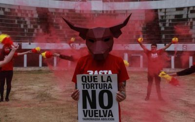 NO HABRÁ TEMPORADA TAURINA EN BOGOTÁ EN 2022 (COLOMBIA)