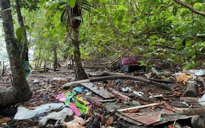 BAHÍA DE BUENAVENTURA, SUMERGIDA EN MICROPLÁSTICOS (COLOMBIA)
