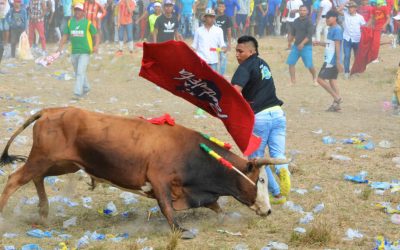 MALTRATO Y MUERTE EN CORRALEJAS (COLOMBIA)
