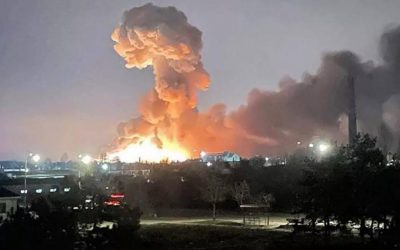 LA NATURALEZA – VICTIMA OLVIDADA DE LA GUERRA