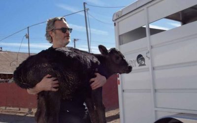 JOAQUÍN PHOENIX DEFENSOR DEL MEDIO AMBIENTE Y LOS ANIMALES