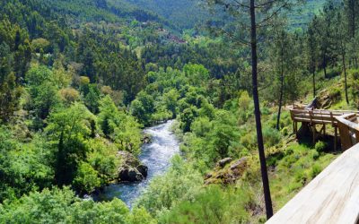 MES DE LOS BOSQUES Y DEL AGUA
