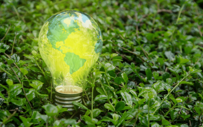 DÍA MUNDIAL DE LA EFICIENCIA ENERGÉTICA