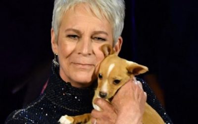 JAMIE LEE CURTIS PROMUEVE LA ADOPCIÓN EN MEMORIA DE BETTY WHITE