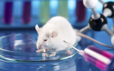 DÍA MUNDIAL DEL ANIMAL DE LABORATORIO 2022