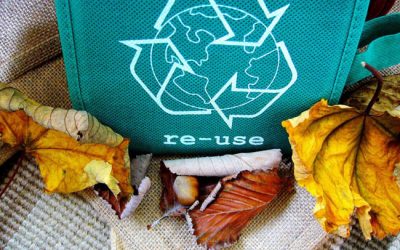 DÍA MUNDIAL DEL RECICLAJE