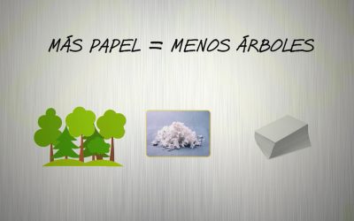 RECICLAR PAPEL Y CARTÓN AYUDA A SALVAR BOSQUES