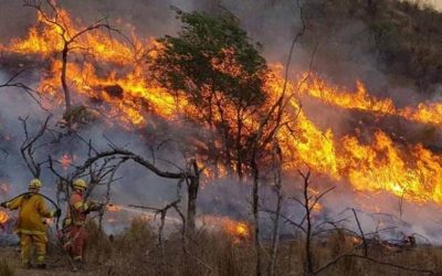 DÍA DEL COMBATIENTE DE INCENDIOS FORESTALES