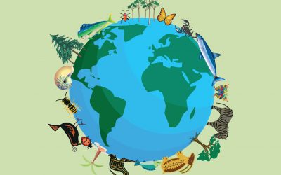 DRAMAS DE LA FAUNA