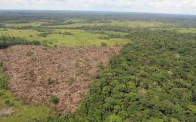 MINERÍA Y TURISMO – MOTORES DE DEFORESTACIÓN EN COLOMBIA