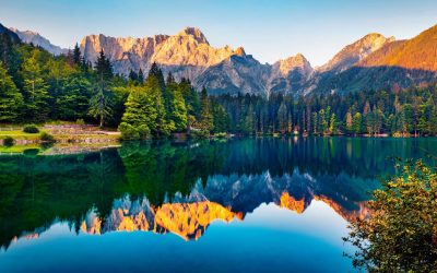 FECHAS MUNDIALES DEDICADAS A LA NATURALEZA