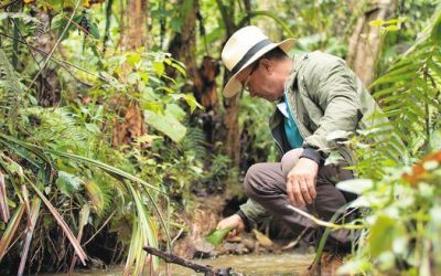 EL CAMPESINO QUE DEJÓ LA CAZA PARA DEFENDER LA NATURALEZA (COLOMBIA)