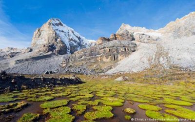 ACUERDO DE ESCAZÚ EN COLOMBIA: ¿SEÑAL DE UNA NUEVA POLÍTICA MEDIOAMBIENTAL?